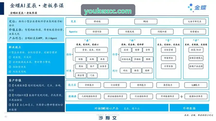 J9靶点结合口袋预测图